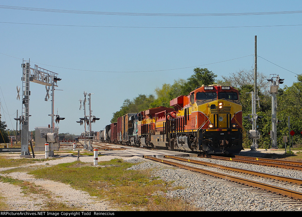 FEC 801